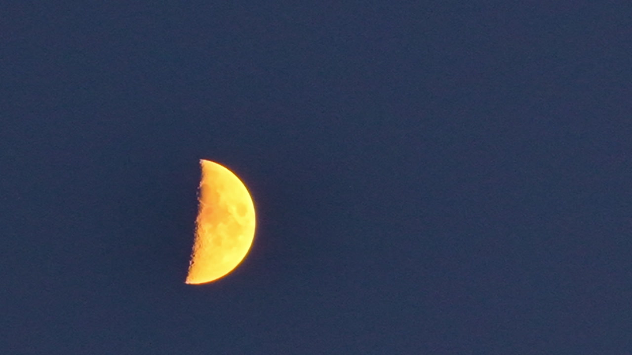 Half moon glowing against clear evening sky with detailed lunar surface visible in night atmosphere