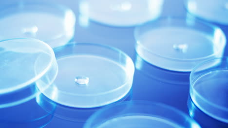 video of close up of laboratory round glass dishes with copy space on blue background