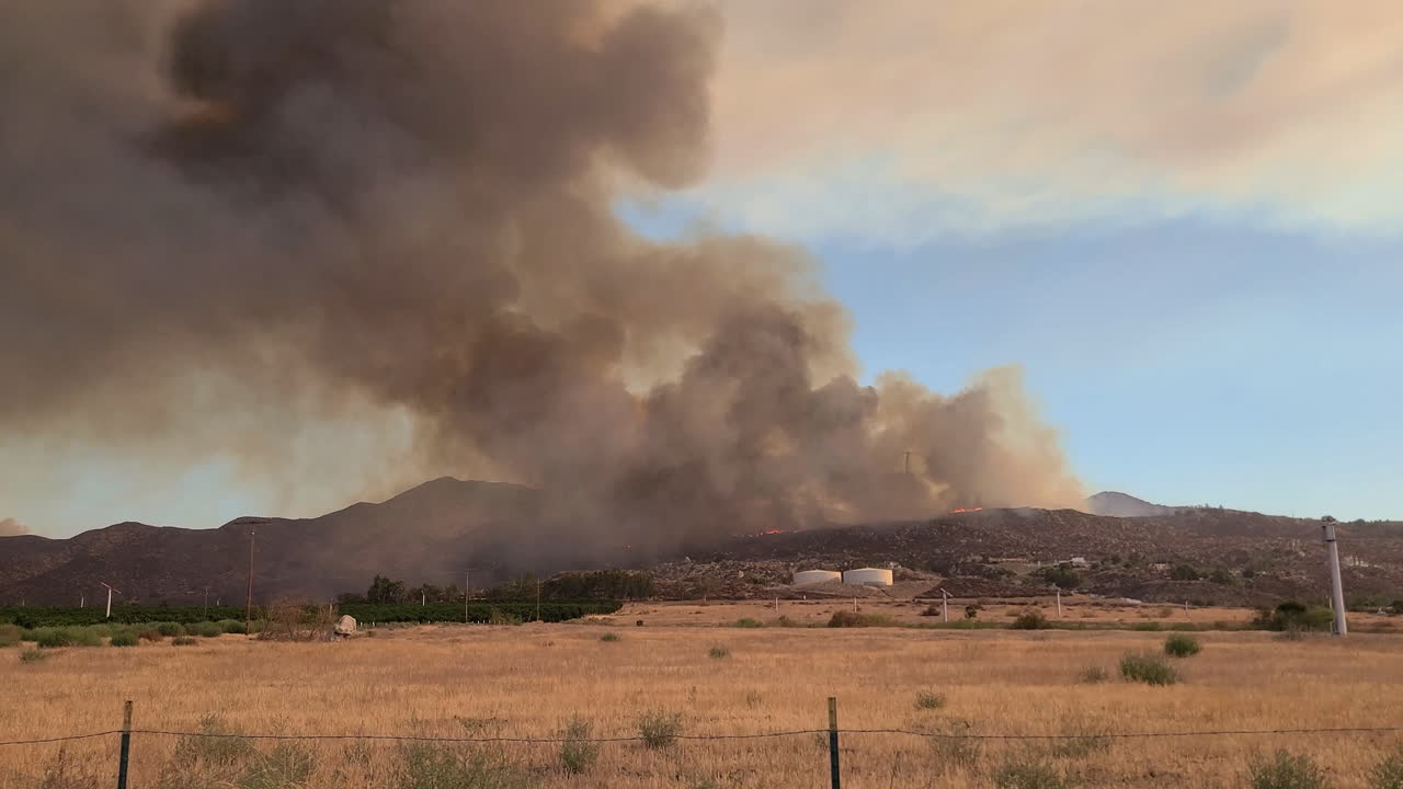 punto de vista de un automóvil que pasa por el campo de california