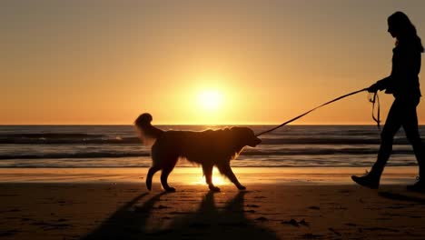 a heartwarming evening walk on the beach: silhouettes of a dog and its companion against a stunning sunset