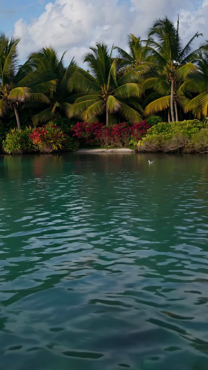 A serene tropical lagoon with palm trees, captured from a low angle