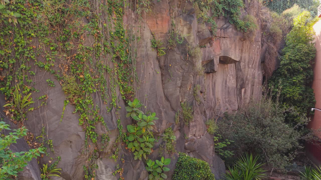 Volcanic rock covered in undergrowth