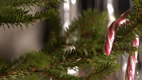 hand decorates christmas tree with candy cane