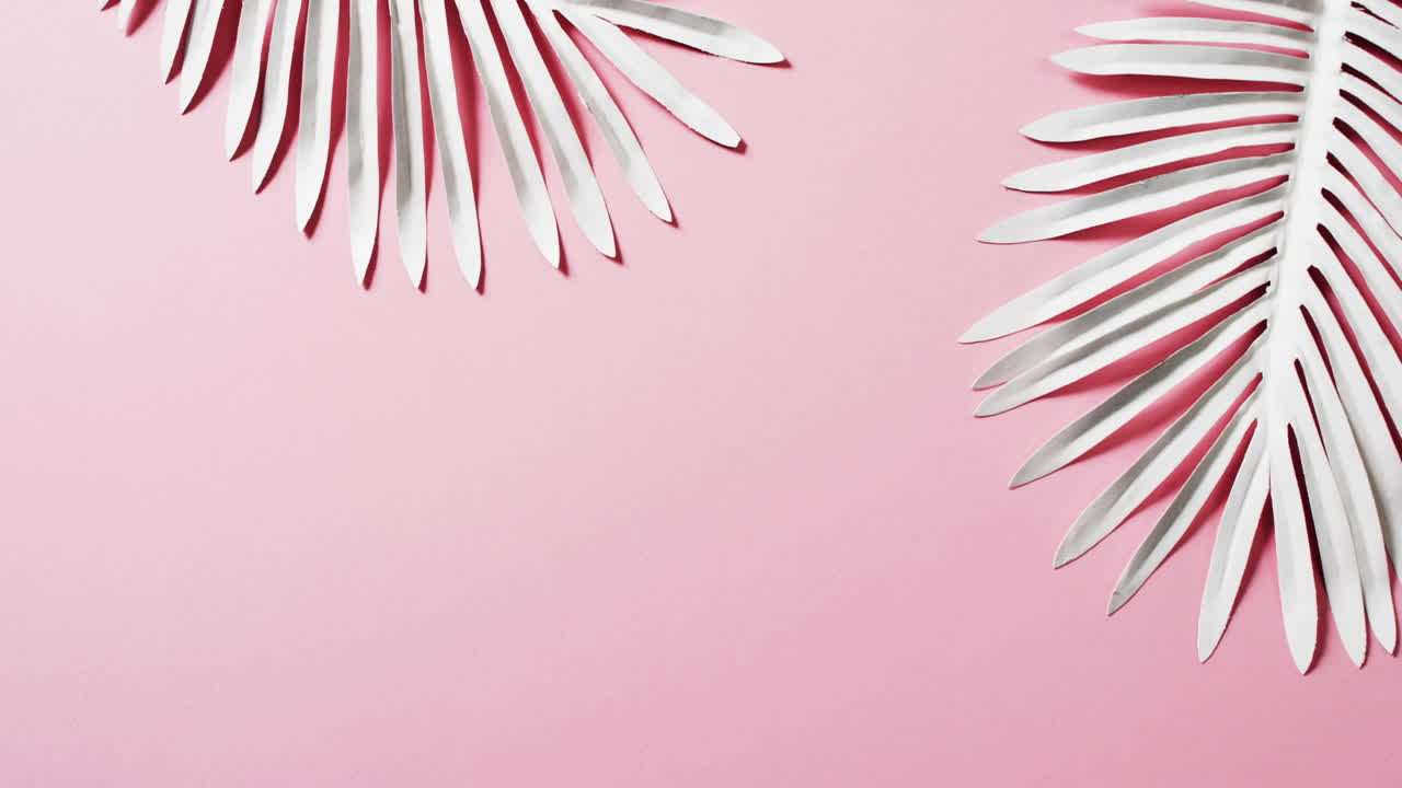 video de hojas de plantas blancas con espacio de copia en fondo rosa