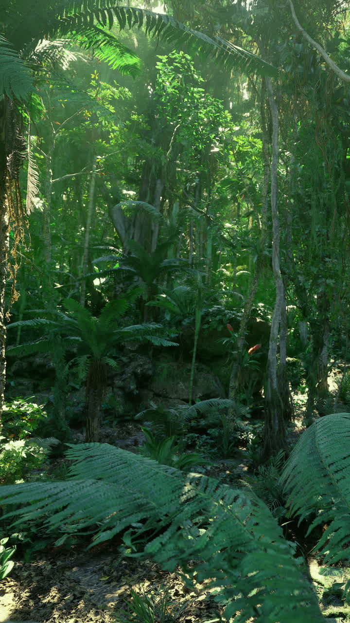 Esplorare una foresta verde lussureggiante alla luce del mattino con alberi alti.