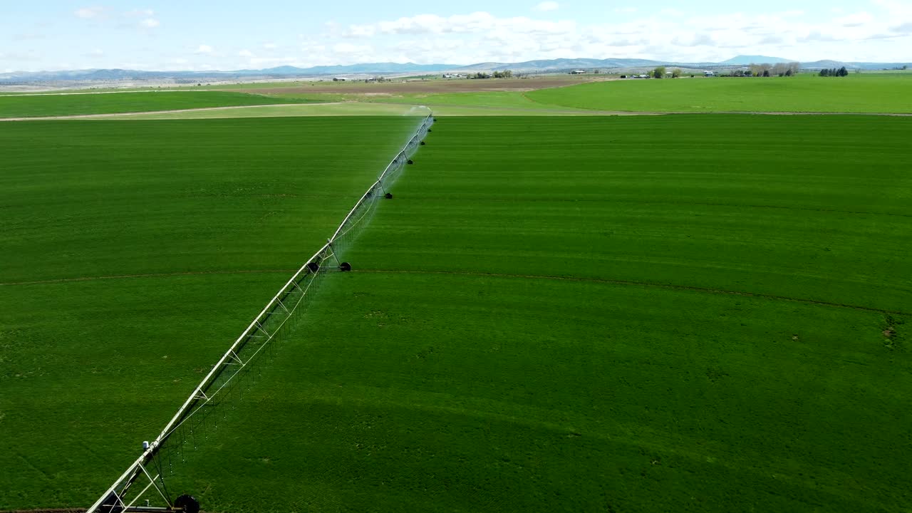 US, Oregon, Madras, , 2025-04-19 - Drone view of a dark green farm in central Oregon. The center pivot irrigation is spraying water as we fly along its length