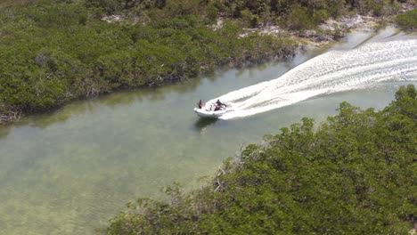 motorboat on speed running through waters passing with lush mangroves at bahama islands, florida