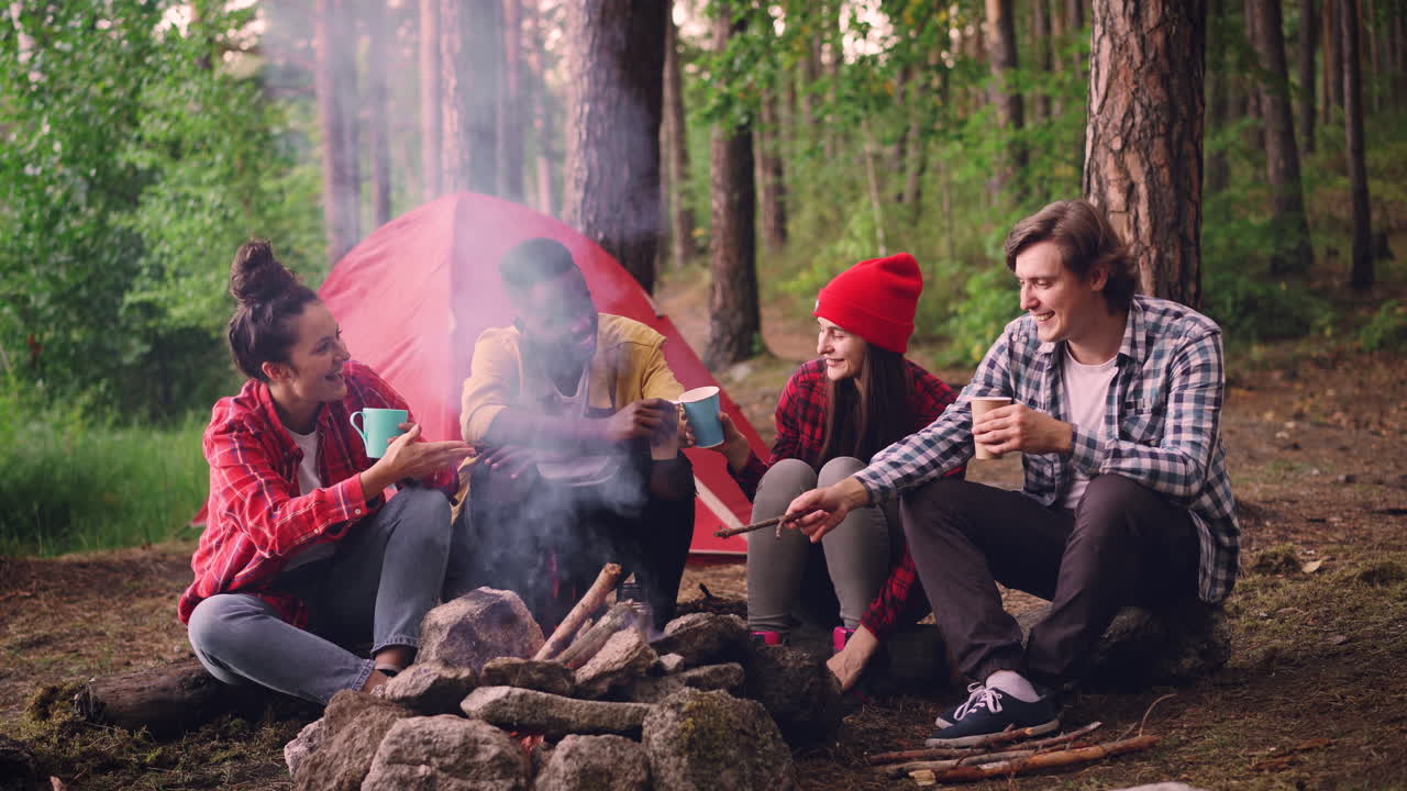 Friends Camping by a Campfire