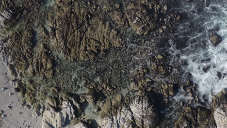 4K-overhead-tracking-shot-over-the-tide-pools-and-rock-formations-of-Point-Pinos-in-Pacific-Grove-along-Monterey-Bay-California