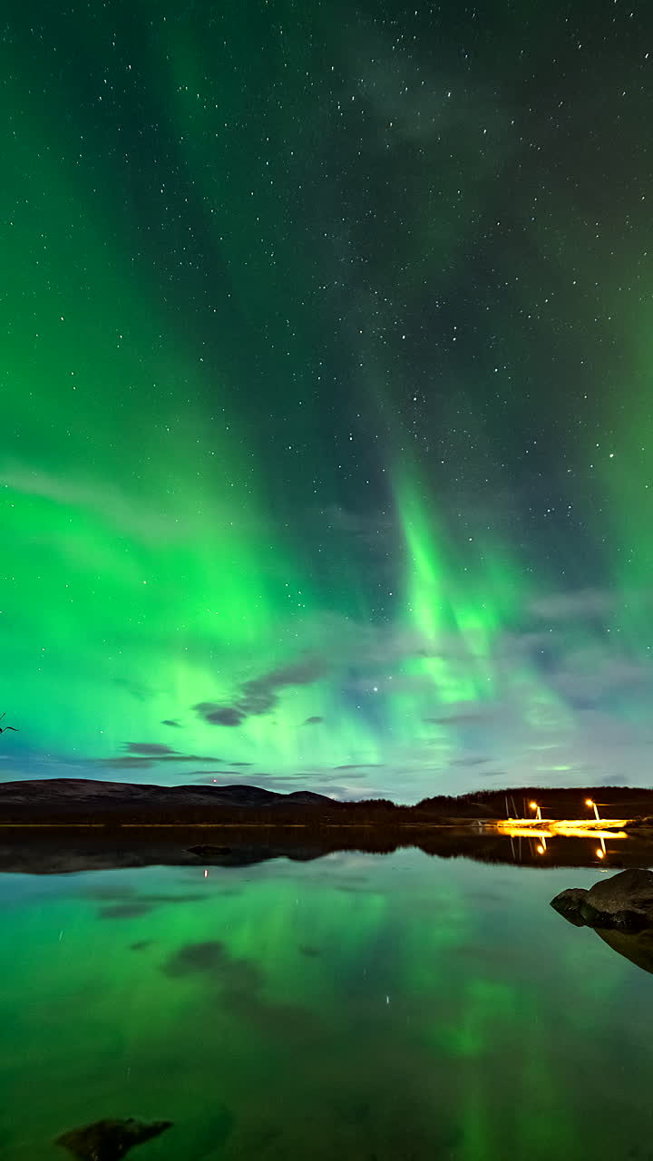 Vertical View, Night Sky Display, Celestial Atmosphere, Winter Scenery