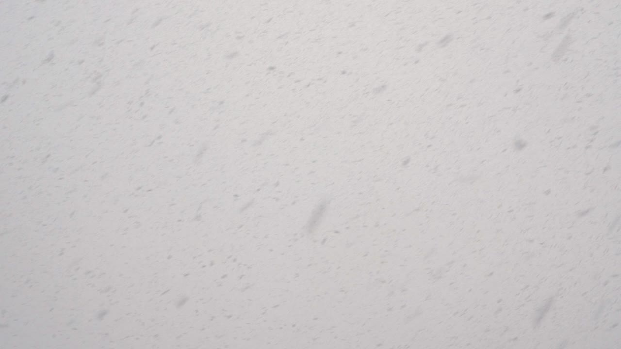 la nieve está cayendo sobre el fondo gris y nublado del cielo. clima nevado. naturaleza de invierno