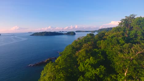 flying low over the tree-filled forest on a peninsula that is part of the isla paridas in panama to reveal a calm water bay with no boats anchored