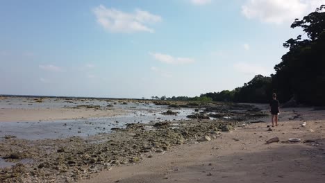 A-caucasian-woman-walks-along-a-remote-beach-in-the-Andamans-as-a-stray-dog-follows-her-when-the-tide-is-out