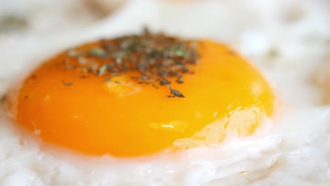 close-up of fried egg