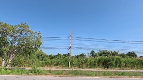 pasando por árboles y cables eléctricos en la carretera