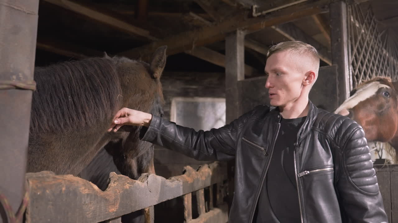 White man petting horse head in stable, slow forehead strokes and mane smoothing, intimate bond forming, leather jacket, focused gaze and calm posture, horse relaxes into touch, caretaker and trainer