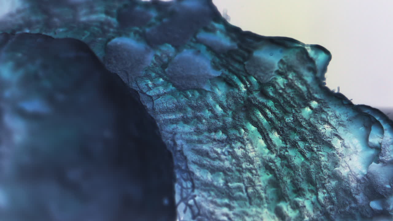 추상적인 잉크 예술