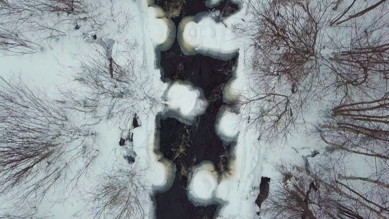 Vista aerea dall'alto di un ruscello fluviale boschivo ghiacciato con foresta innevata
