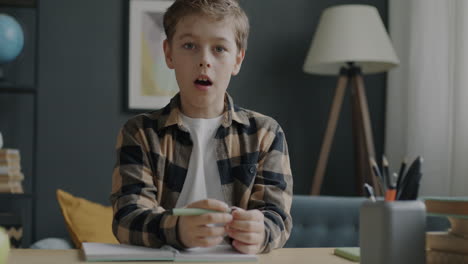 boy doing homework at home