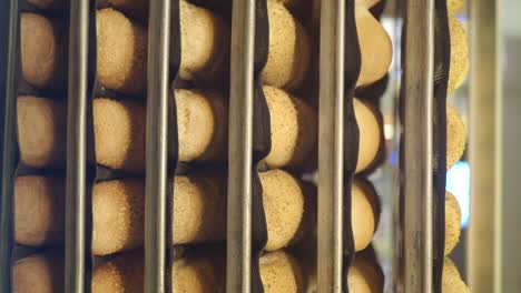rows of freshly baked sesame buns