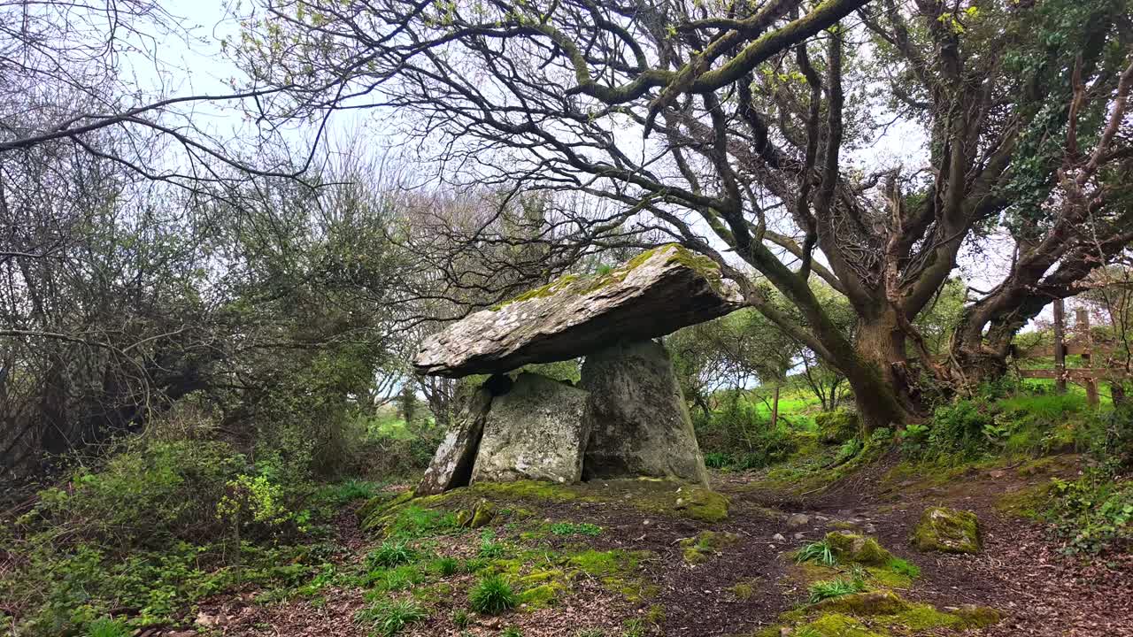 タイムラプス アイルランドの薄い場所 ガールスタウン ドルメン 風の多い日 木の枝が輝く ウォーターフォード アイルランドの神秘的な風景