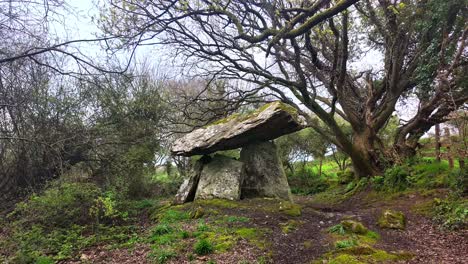 timelapse thin places in ireland gaulstown dolmen on a windy day trees branches shimmering in this mystical landscape of waterford ireland