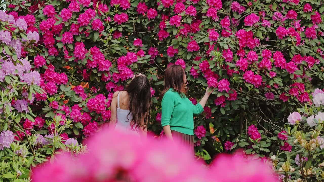 Magical garden giant rhododendron bushes and mother and daughter bonding moment