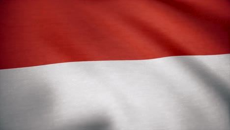 indonesian flag