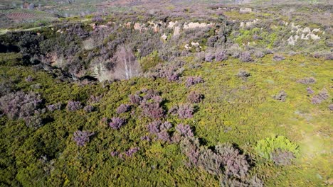 Aerial-dolly-establishes-ancient-roman-mines-of-Os-Biocos-in-San-Xoan-de-Rio,-Ourense,-Galicia,-Spain