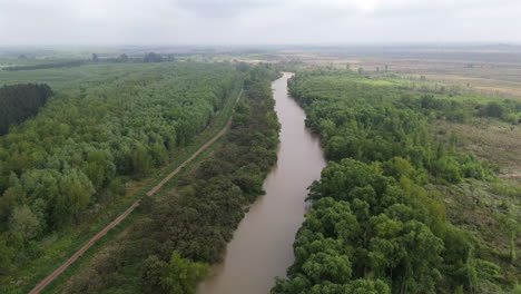 meandering winding waterway in the paraná delta cutting through green forest landscape, argentina.
