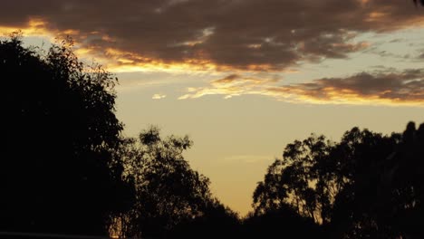 Australian-Sunset-with-gum-trees-and-clouds-during-golden-hour,-Maffra,-Victoria,-Australia