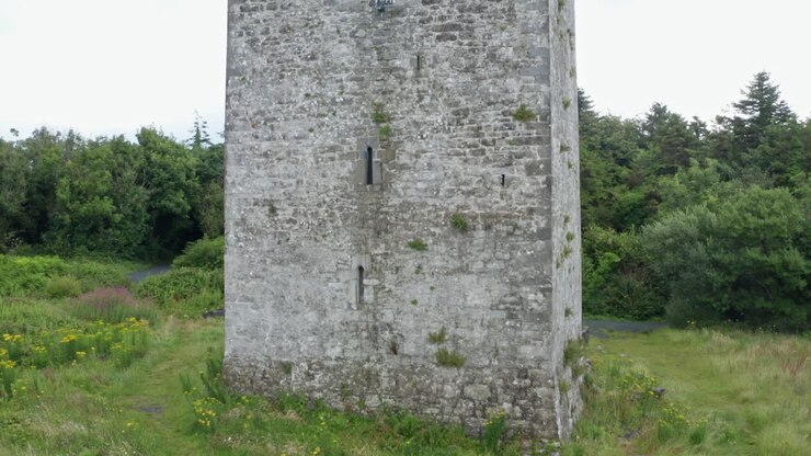 Tomada aérea ascendente do Castelo Merlin Park em Galway, Irlanda.