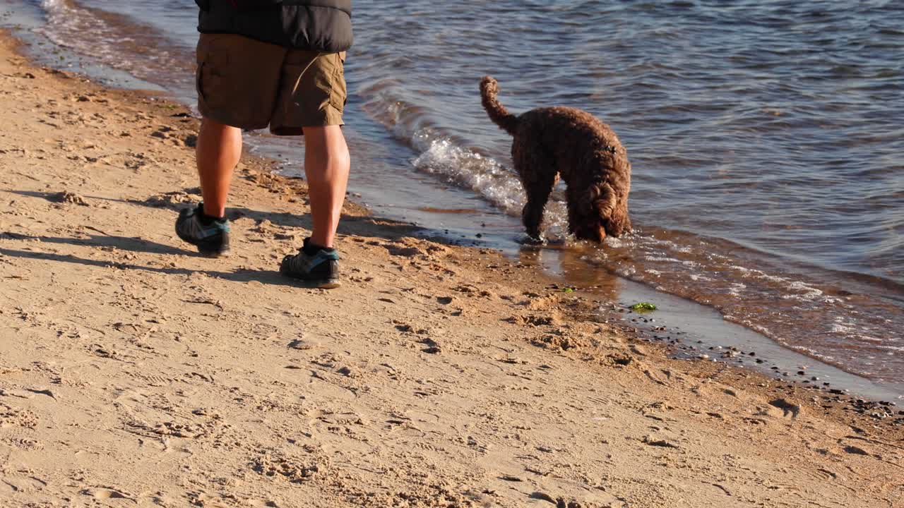 사람과 개가 물 을 고 있다