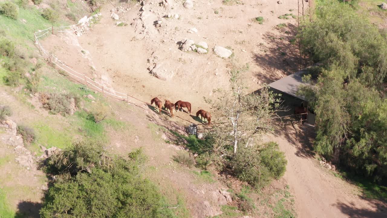 Low close-up aerial shot of a group of horses at an equestrian riding school in Westlake Village, California. 4K at 30 FPS