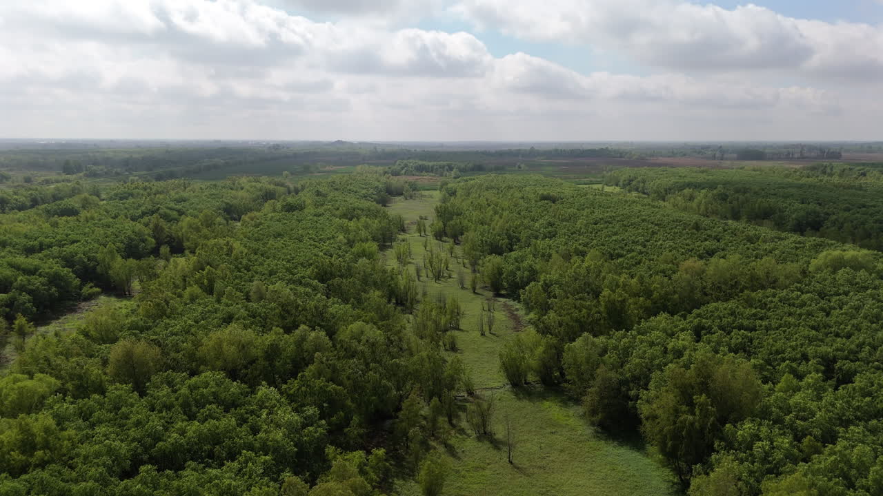Aerial view of a vast environmentally friendly green forest stretching into the distance under a cloudy sky.
