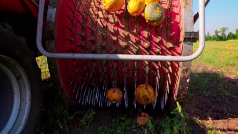 cosechadora de semillas de calabaza trabajando en el campo