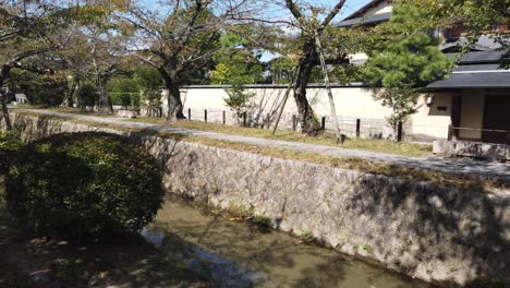 pov caminando filmado a través del camino del filósofo, kioto japón en el camino de viaje de verano durante el día