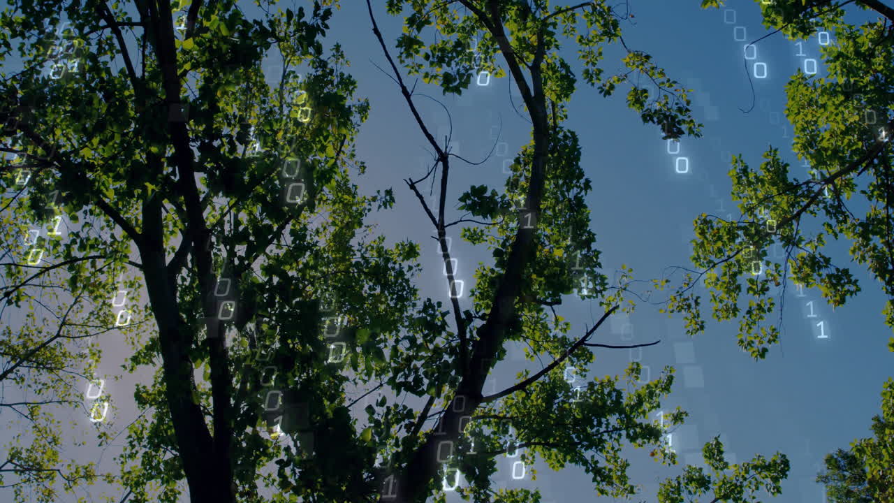 Tree branches and leaves with digital binary code animation overlay