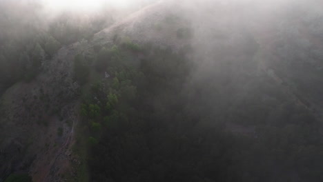 flying-over-the-Canarian-pine-forest-and-crossing-a-sea-of-​​clouds-at-sunset