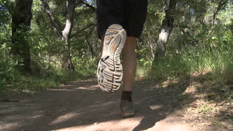 point of view of a man trail running in the forest on the ventura river preserve in ojai california