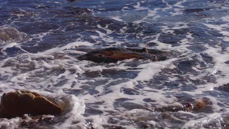 waves in slow motion on a rocky beach