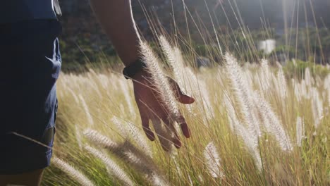 afrikanisch-amerikanischer mann trainiert im freien, wandert und berührt gras auf dem land auf einem berg