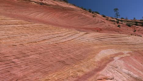 patrón de erosión de arenisca a lo largo de la cresta del cañón en el parque nacional zion