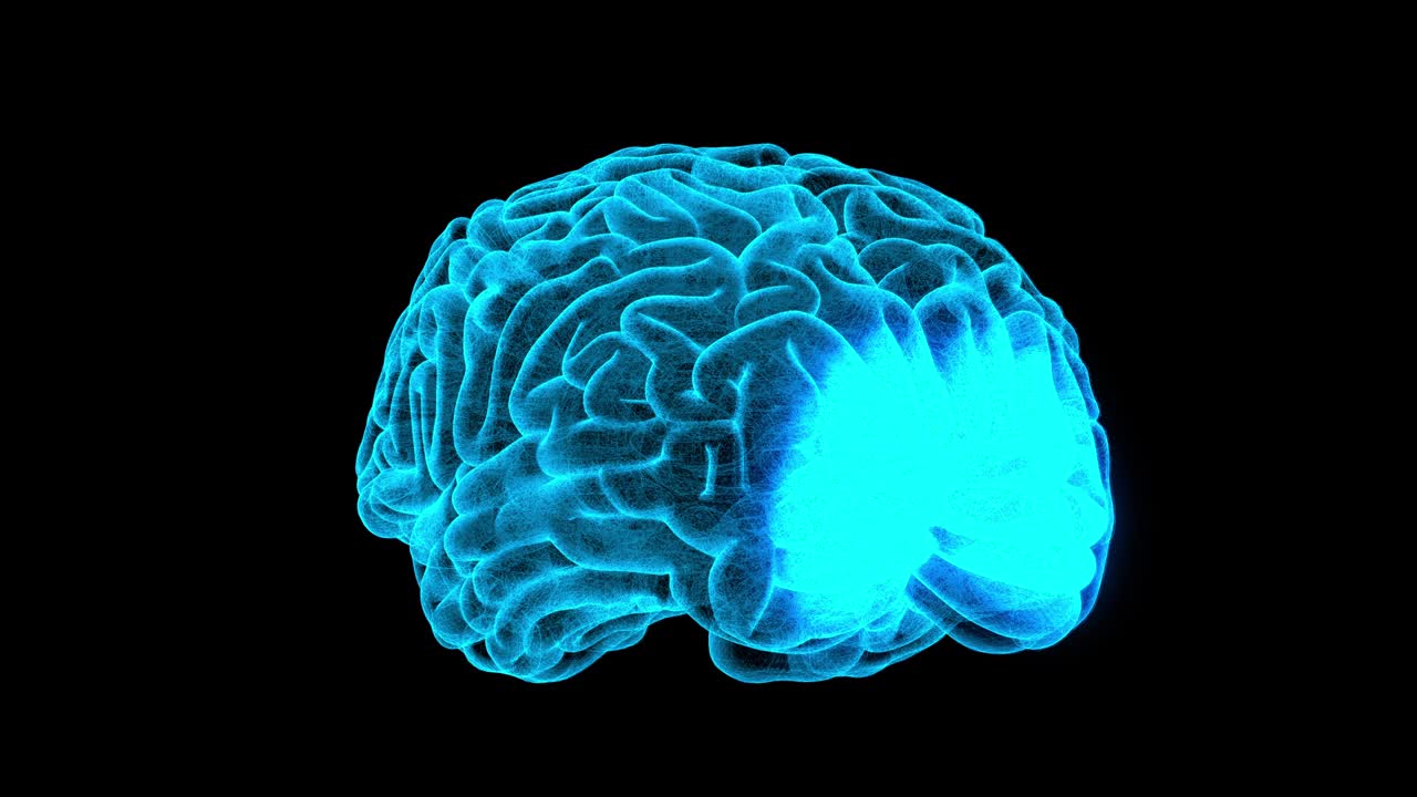 3D human brain scan and rotating 360 with alpha loop