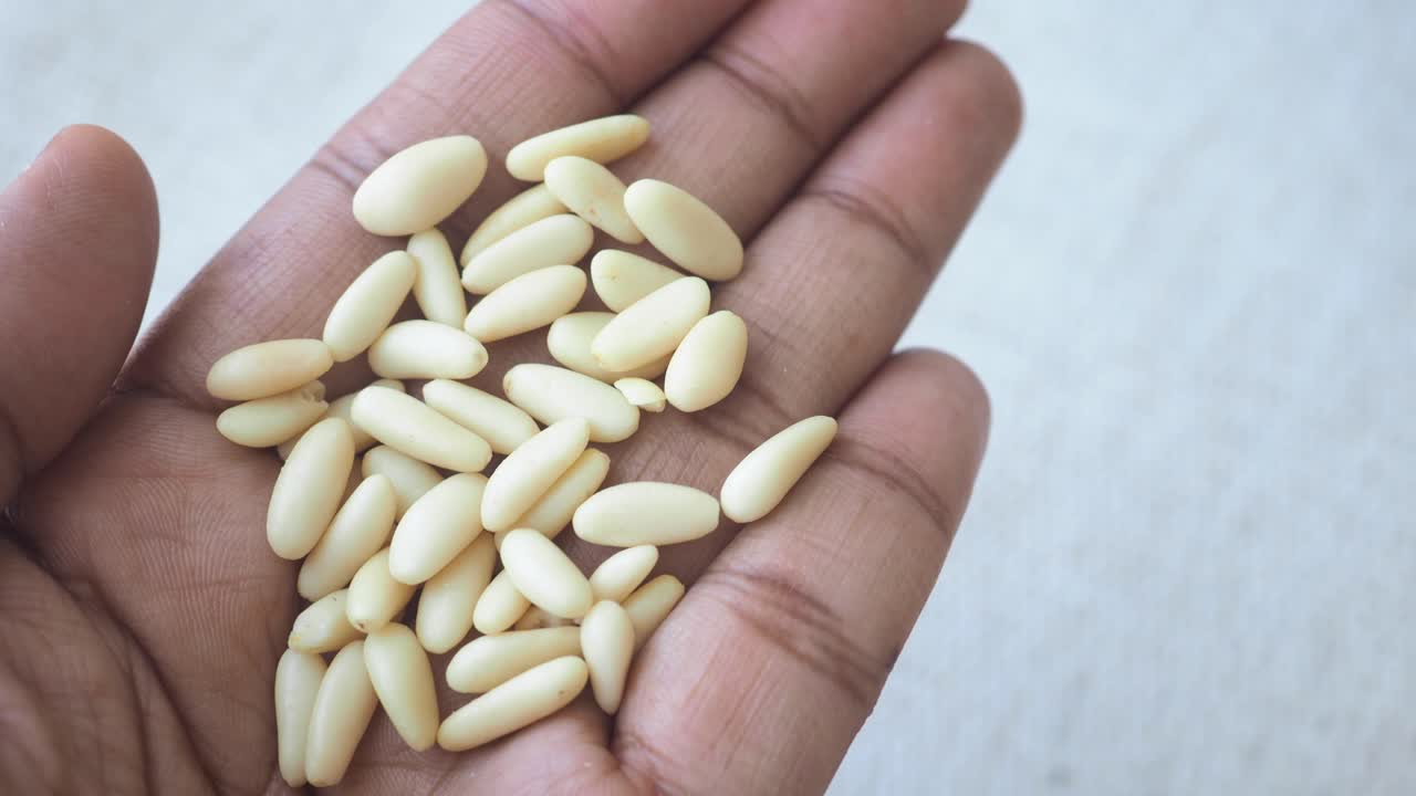 손에 들고 있는 소나무 견과류