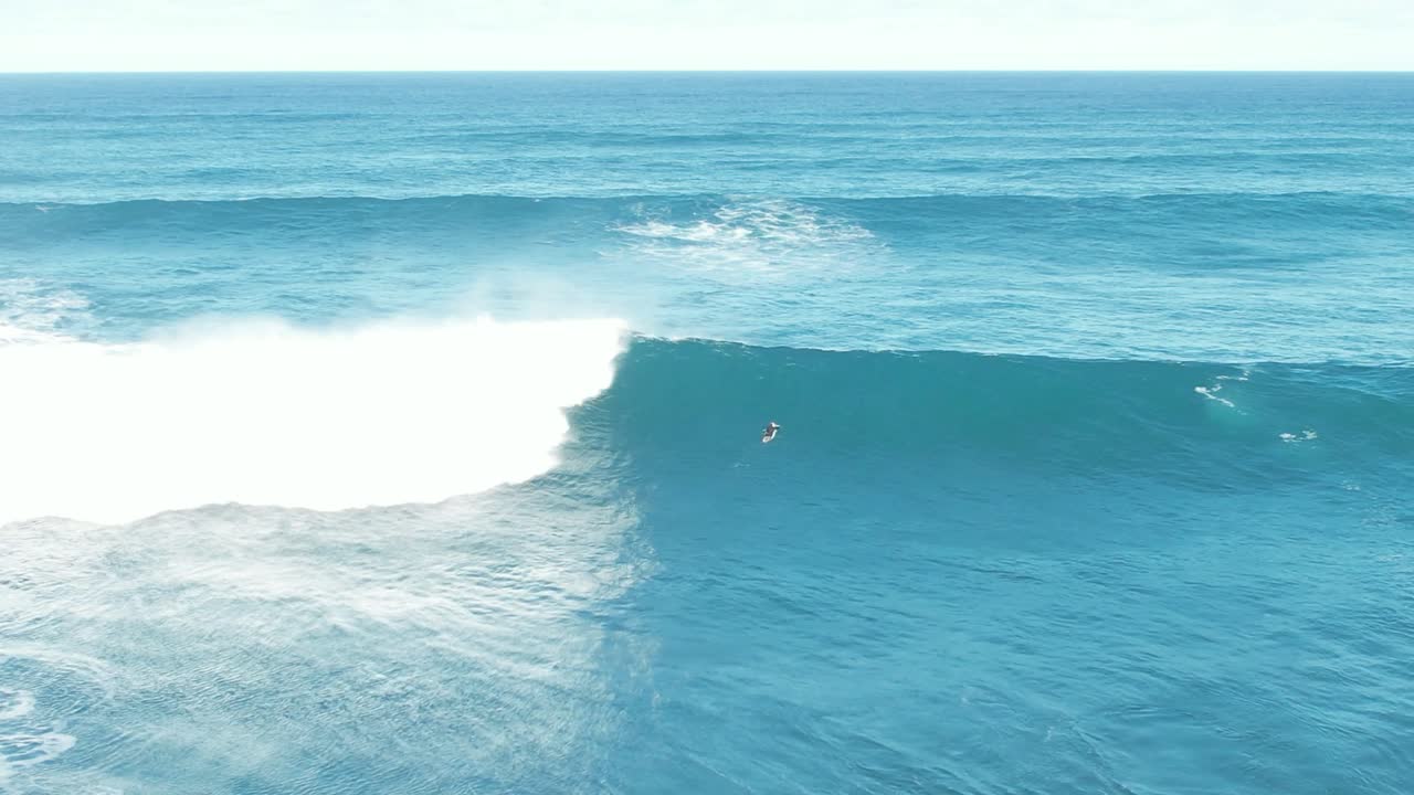 Big Waves Hawaii's North Shore