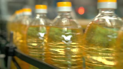 oil bottles on a production line