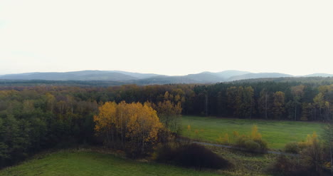 Volando-Sobre-Bosque-Forestal-Desde-Arriba-23