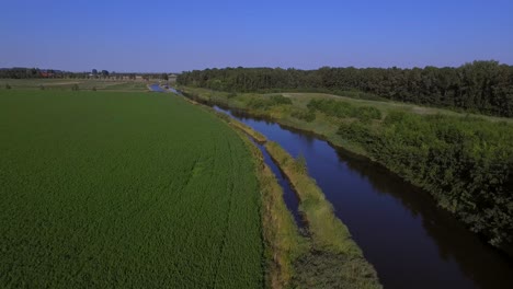 Ein-Kleines-Naturschutzgebiet-In-Der-Nähe-Von-Kruiningen,-Niederlande