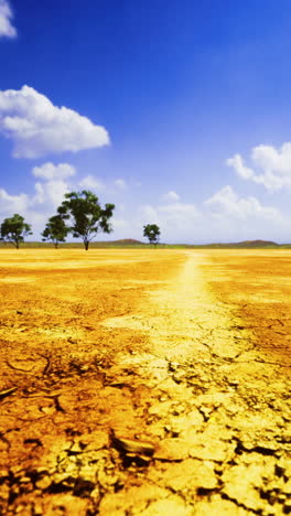 dry landscape with cracked earth and scattered trees under a bright blue sky
